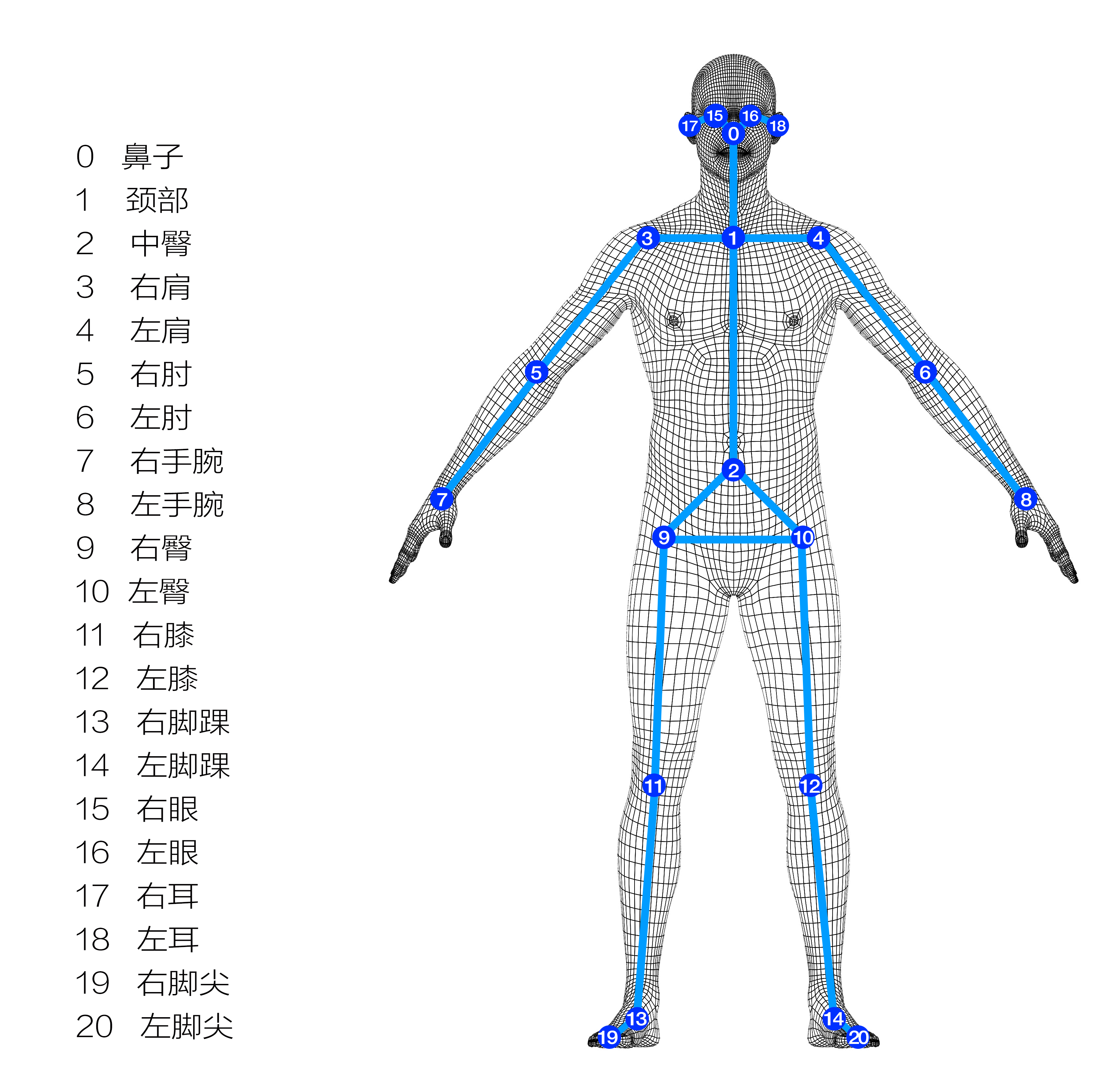 _images/bodynet1.jpg