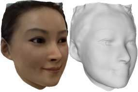 _images/concept_facemodel.png